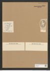 Cocconeis sigma Pant. (de-Toni-Nr.: Genus 40, Species 1814) Zeichnungen Sammlung Grunow Nr. 3609 (NHMW-BOT-W0371208)